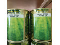 simlaw-seeds-lawn-grass-paspalum-small-1