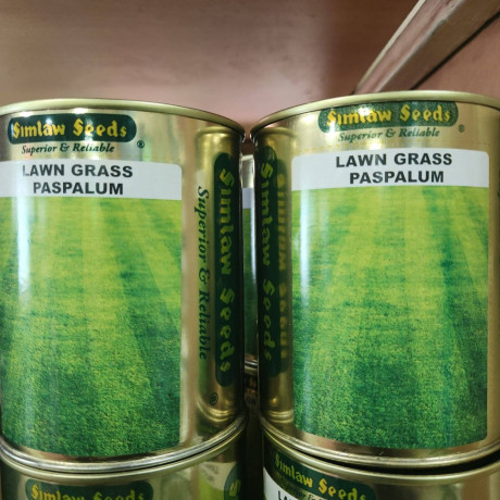 simlaw-seeds-lawn-grass-paspalum-big-1